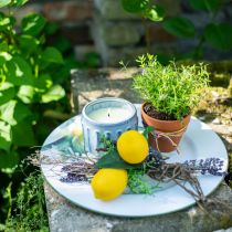 Bougie citronnelle en pot bougie parfumée citron Ø10.5cm H8cm