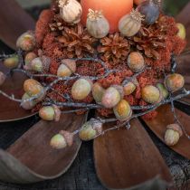 Article Coupelles naturelles en fibre de coco - 60 cm - Lot de 5