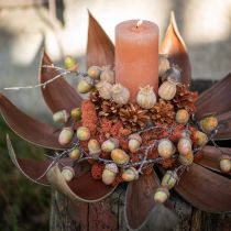 Article Coupelles naturelles en fibre de coco - 60 cm - Lot de 5