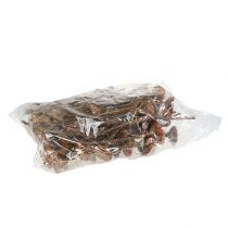 Article Rosace Compacta 100 pcs