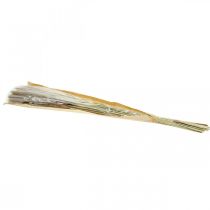 Article Herbes séchées Herbe de la pampa naturelle bouquet 80cm 100g