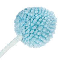 Article Craspedia fleurs séchées bleues 55 cm - Lot de 20