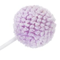 Article Craspedia fleurs séchées lilas clair 55 cm – Lot de 20 tiges