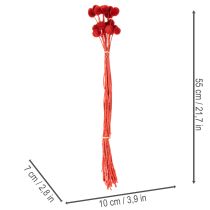 Article Fleurs séchées Craspedia rouges, tiges longues 55 cm, lot de 20