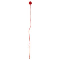 Article Fleurs séchées Craspedia rouges, tiges longues 55 cm, lot de 20