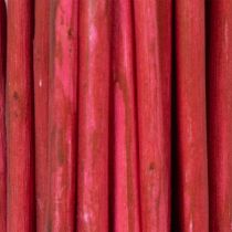 Article Branche décorative séchée de saule tortueux pour la création florale et la décoration intérieure, 80 cm, 70 g