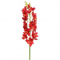 Orchidée Cymbidium rouge 78 cm