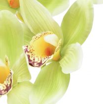 Article Orchidée cymbidium artificielle 5 fleurs verte 65cm