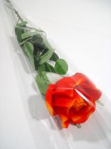 Sachet fleur pour 1 rose &quot;Blank&quot; L65cm L14cm - 3cm 50p