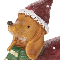 Article Figurine décorative teckel en polyresine avec manteau, bonnet et cadeau 18 cm