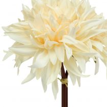 Article Dahlia artificielle crème 25,5 cm - Lot de 3