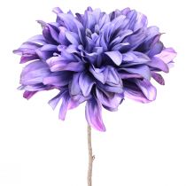 Article Dahlia artificiel à grandes fleurs violet L58cm