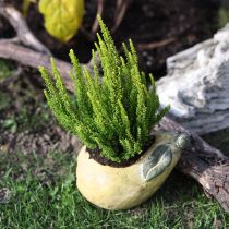 Article Jardinière décorative en béton poire décoration automne 19×12,5×15,5cm