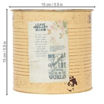 Article Pot de fleurs décoratif en métal, couleur abricot, décoration estivale, Ø 15,5 cm x H 15 cm