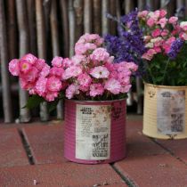 Article Boite décorative boite métal violette à planter Ø15,5cm H15cm