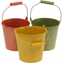 Article Seau déco de fruits lavés jaune, orange, vert Ø15cm H14cm lot de 3