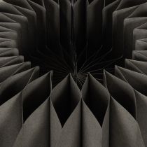 Article Kürbis en papier alvéolé rond Ø34cm noir set de 2