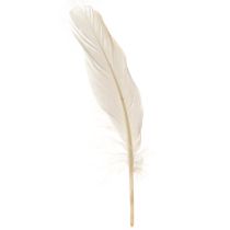 Article Plumes décoratives véritables plumes d&#39;oiseaux champagne 20g