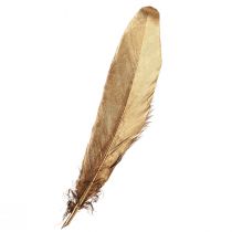 Article Plumes décoratives plumes de décoration de Noël dorées 15-20cm 12 pcs