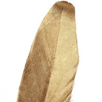 Article Plumes décoratives plumes de décoration de Noël dorées 15-20cm 12 pcs