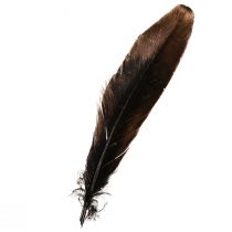 Article Plumes décoratives dorées 15-20 cm – Lot de 12
