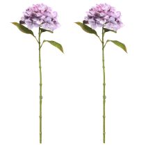 Article Décoration Hortensias Fleurs Artificielles Fleur Violette Ø18cm 69cm 2pcs