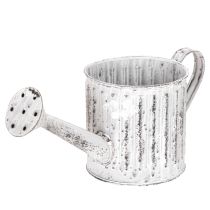 Article Arrosoir décoratif shabby chic en métal blanc pour plantes Ø10,5 cm