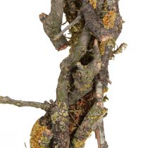 Article Couronne décorative branches avec décoration naturelle lichen et mousse Ø33cm