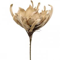 Déco fleur de lotus fleur de lotus artificielle fleur artificielle beige L68cm