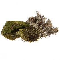 Article Mousse décorative pour travaux manuels, mélange de mousse naturelle verte et vert clair 75g