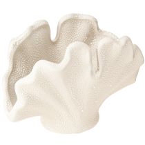 Article Vase coquillage décoratif mini vase en céramique crème 14×7,5×9,5cm