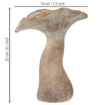 Article Champignon décoratif en pierre moulée, décoration d'automne, gris lavé, 19 x 15 cm, hauteur 23 cm