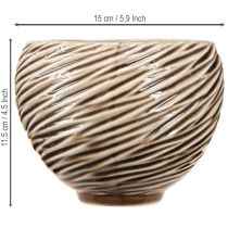 Article Coupe décorative en céramique beige et brune Ø15cm - Lot de 2