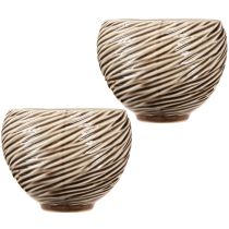 Article Coupe décorative en céramique beige et brune Ø15cm - Lot de 2