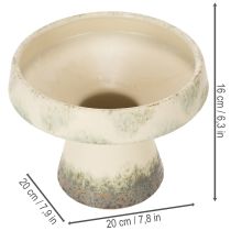 Article Coupe décorative en céramique crème et vert gris Ø20cm H16cm