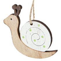 Article Décoration décorative en bois d&#39;escargot à suspendre vert naturel 6,5 cm 12 pièces