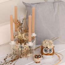 Article Étoiles décoratives en raphia de chanvre, 7,5 cm, décorations pour sapin de Noël, lot de 8