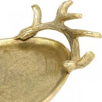 Article Plateau décoratif bois de cerf doré plateau vintage ovale L35×L17cm