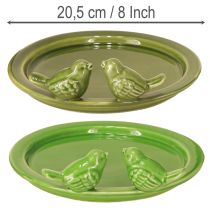 Article Assiette décorative bain d'oiseaux décoration de table céramique verte Ø20,5cm 2pcs