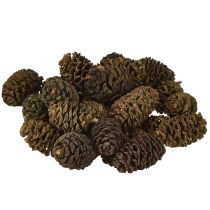 Article Cônes décoratifs en aulne naturel pour la décoration 3-4 cm 200 g