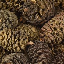 Article Cônes décoratifs en aulne naturel pour la décoration 3-4 cm 200 g