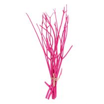 Branches déco Mitsumata 45-60cm rose 12p