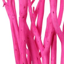 Branches déco Mitsumata 45-60cm rose 12p