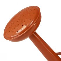 Article Arrosoir décoratif en métal de style champêtre, orange-brun, 26 cm, 5 L - Utilisation polyvalente comme pot de fleurs et arrosoir décoratif