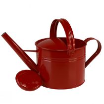 Article Arrosoir décoratif cruche métal rouge pour plantation H26cm 5L