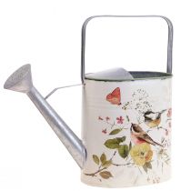 Arrosoir décoratif jardinière métal vintage 33×13cm×31cm