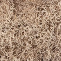 Article Mousse Décorative Séchée Blanchie pour Décoration Naturelle 300g