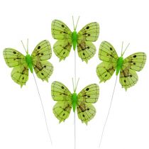 Article Papillon vert 8cm 6P