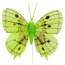 Article Papillon vert 8cm 6P
