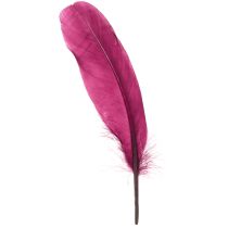 Article Plumes décoratives plumes d&#39;oie bordeaux fournitures artisanales 20g x 2 pièces
